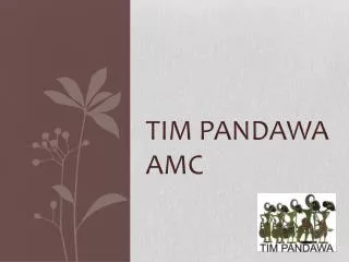 tim pandawa amc