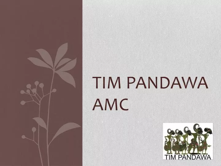 tim pandawa amc