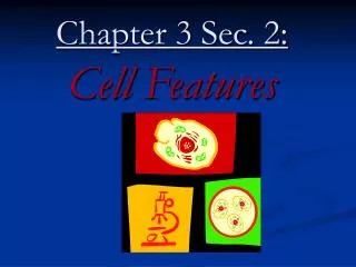 Chapter 3 Sec. 2: Cell Features