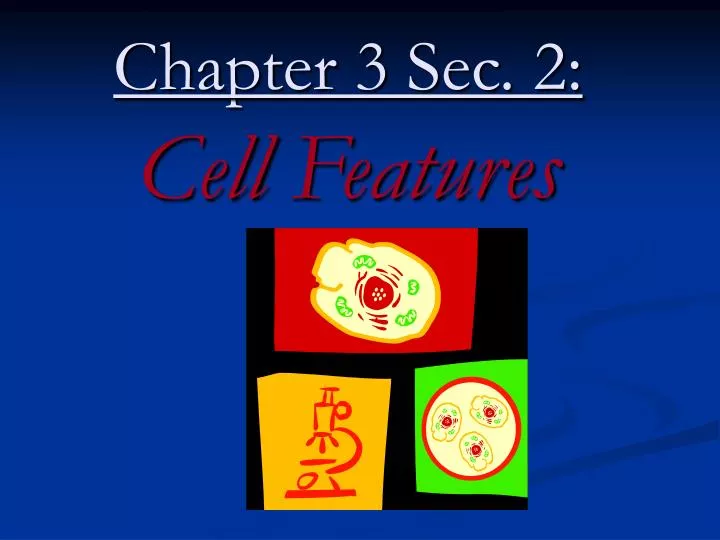 chapter 3 sec 2 cell features