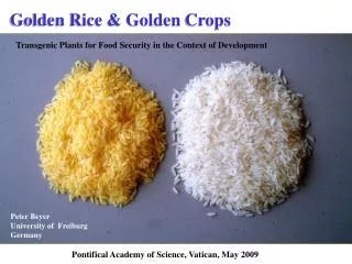 Golden Rice &amp; Golden Crops