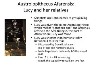 austrolopithecus afarensis lucy and her relatives