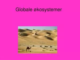 globale kosystemer