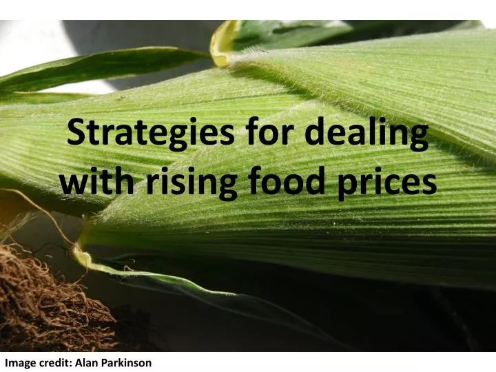 strategies for dealing with rising food prices