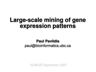 Large-scale mining of gene expression patterns