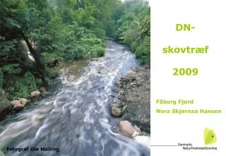 dn skovtr f 2009