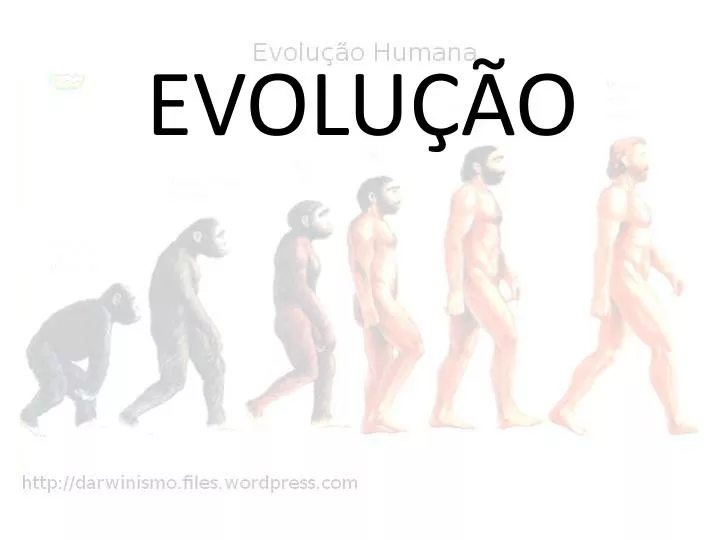 evolu o