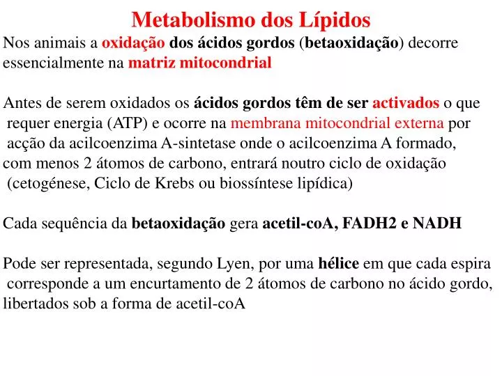 PPT - Metabolismo dos lipídeos PowerPoint Presentation, free