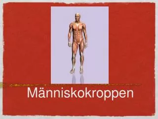 m nniskokroppen