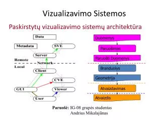 vizualizavimo sistemos