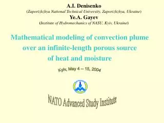Mathematical modeling of convection plume over an infinite-length porous source