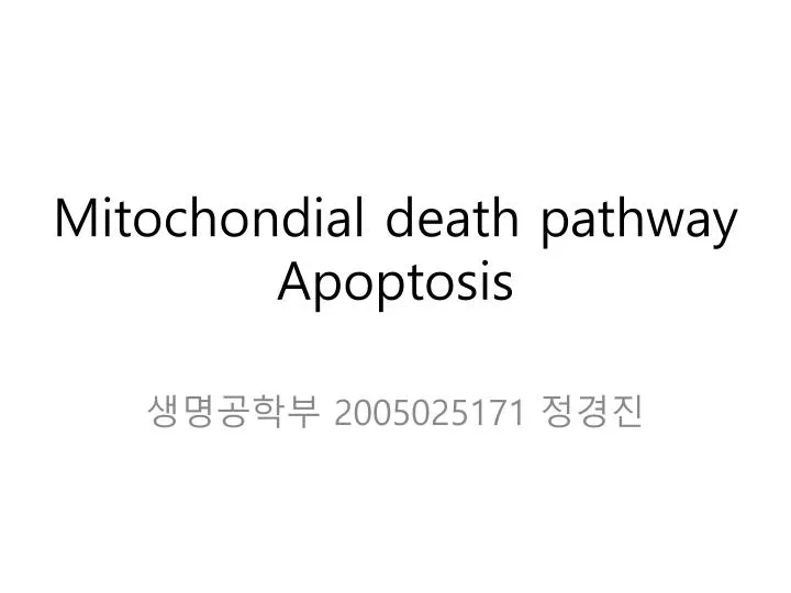 mitochondial death pathway apoptosis