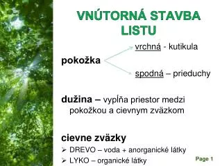 vn torn stavba listu