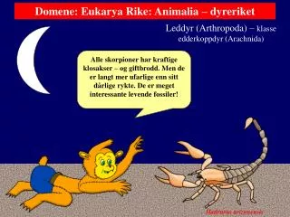 leddyr arthropoda klasse edderkoppdyr arachnida