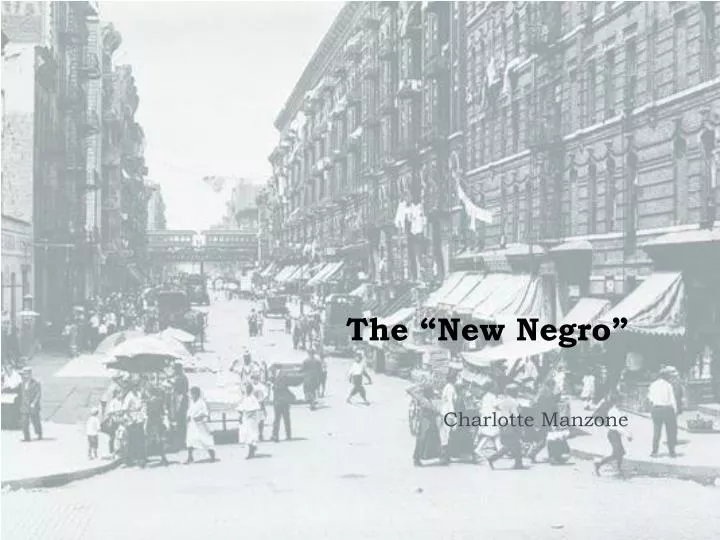 the new negro