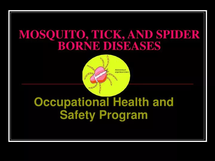 mosquito tick and spider borne diseases