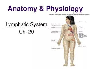 anatomy physiology