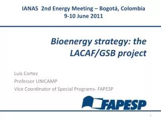 Bioenergy strategy: the LACAF/GSB project