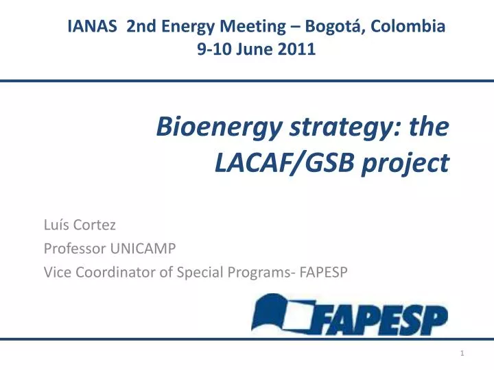 bioenergy strategy the lacaf gsb project