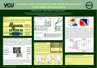 Genome-scale constraint-based metabolic model of Clostridium thermocellum