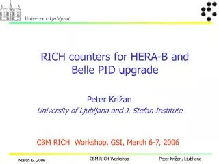 RICH count e r s for HERA-B and Belle PID upgrade