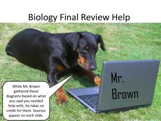 Biology Final Review Help