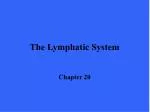 The Lymphatic System - slide 1