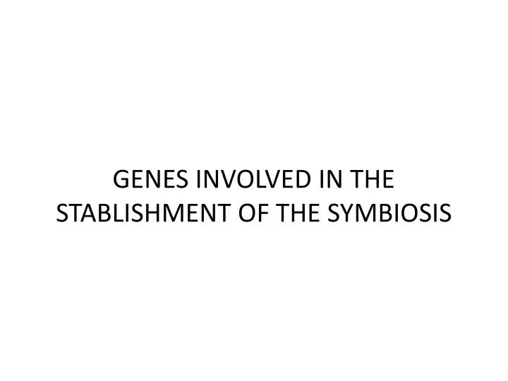 genes involved in the stablishment of the symbiosis