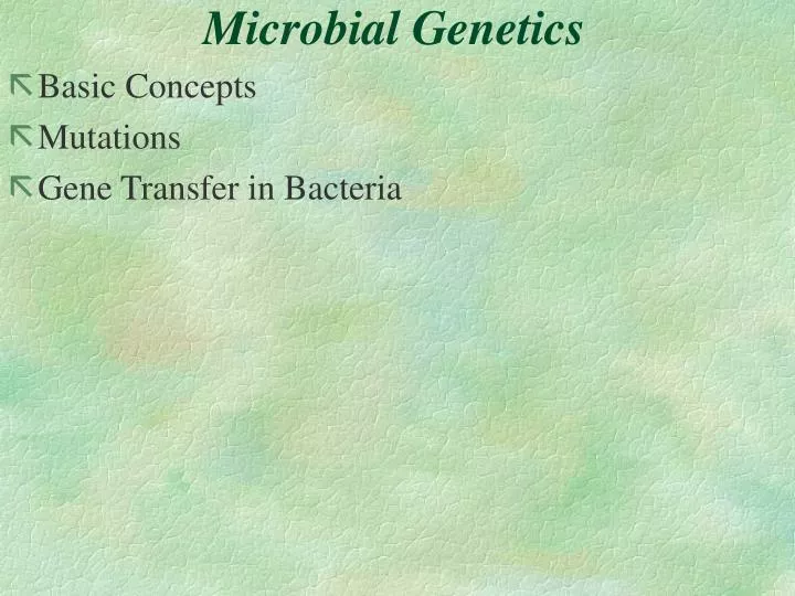 microbial genetics