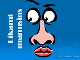 l kami mannsins