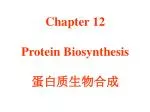 Chapter 12 Protein Biosynthesis 蛋白质生物合成 - slide 1