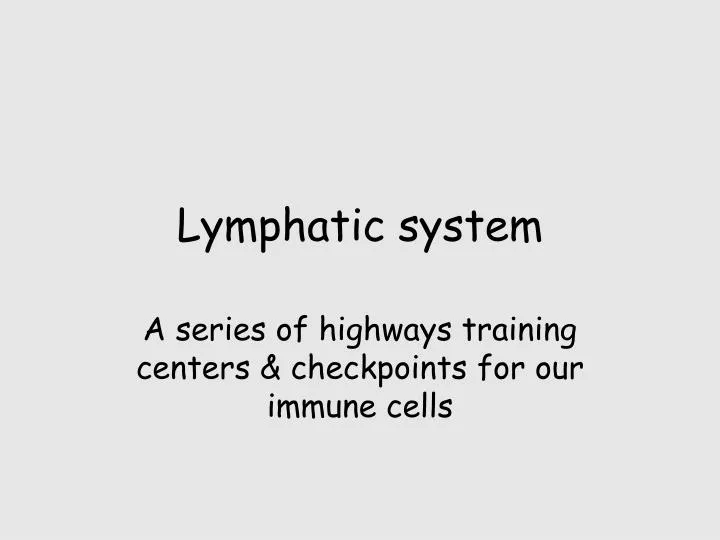 lymphatic system