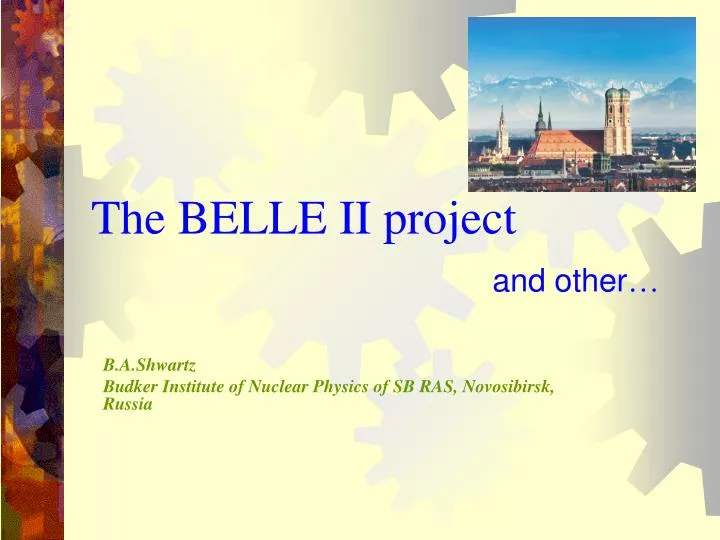 the belle ii project and other
