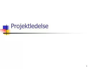 projektledelse