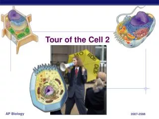 Tour of the Cell 2