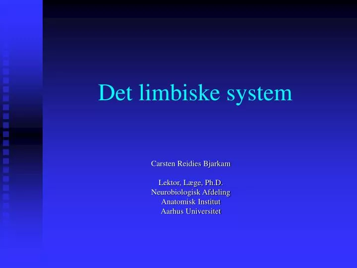 det limbiske system