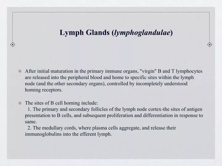 lymph glands lymphoglandulae