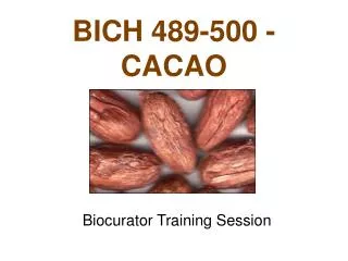 BICH 489-500 - CACAO