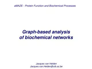 Graph-based analysis of biochemical networks