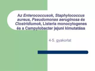 4 5 gyakorlat