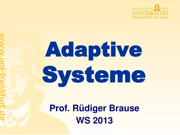 adaptive systeme
