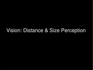 Vision: Distance &amp; Size Perception