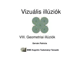 vizu lis ill zi k