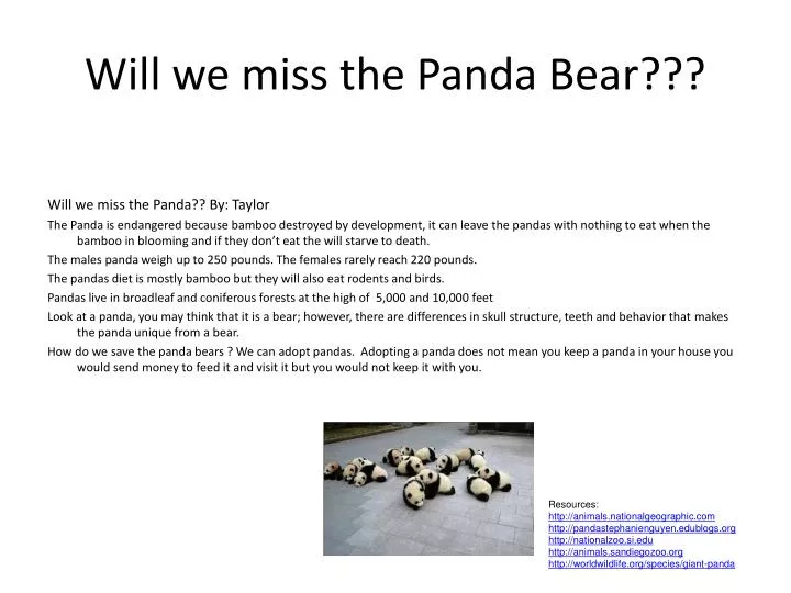 will we miss the panda bear