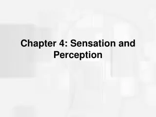 Chapter 4: Sensation and Perception