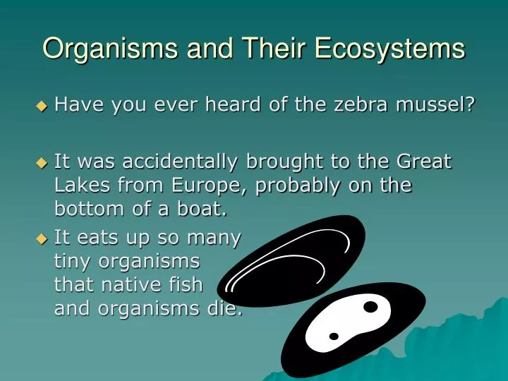 organisms and their ecosystems
