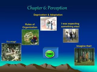 Chapter 6: Perception