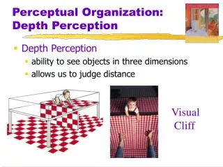 Perceptual Organization: Depth Perception