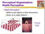 Perceptual Organization: Depth Perception - slide 1
