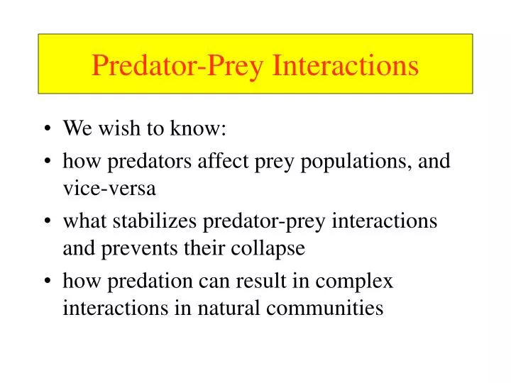 predator prey interactions